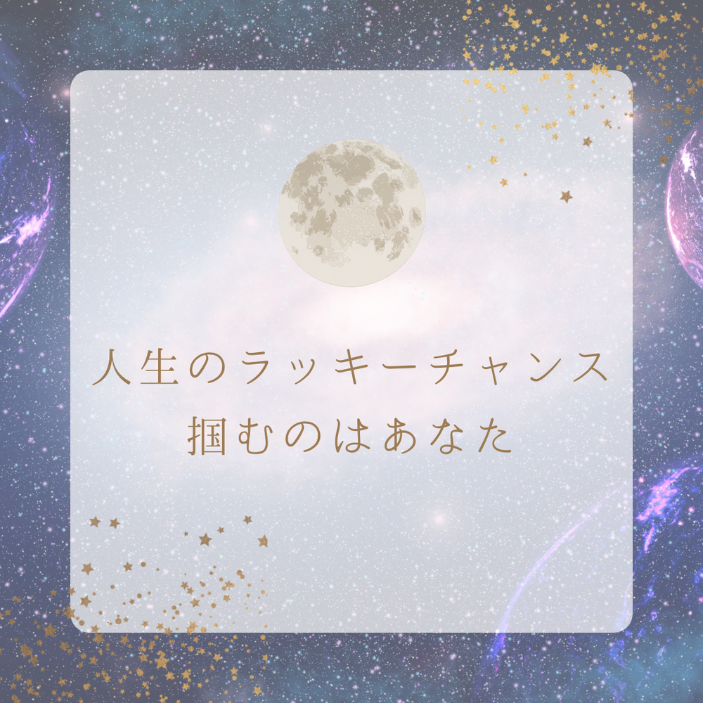 画像1293